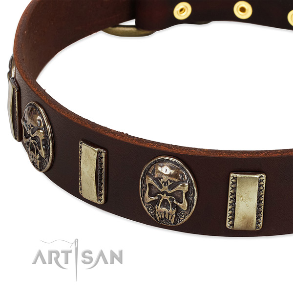 Rust-proof studs on full grain genuine leather dog collar for your canine