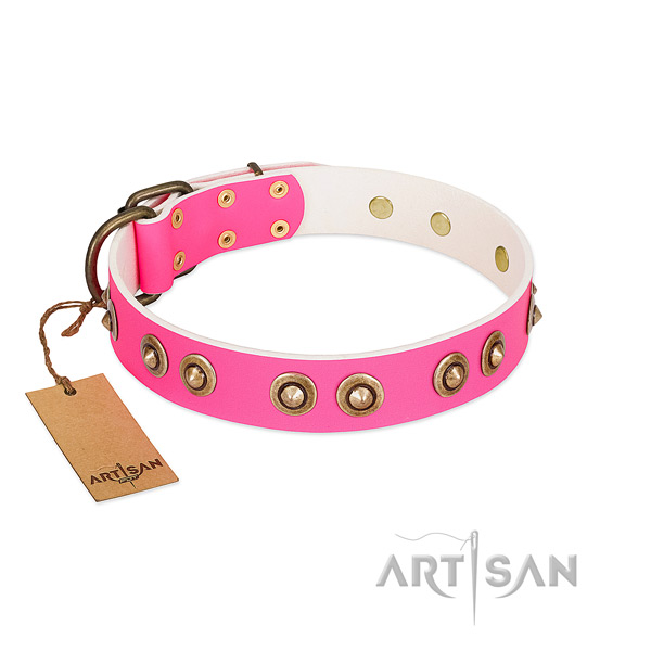 Exquisite genuine leather dog collar for daily use