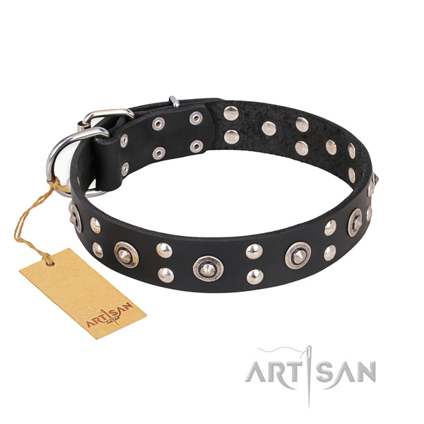 Stylish walking unusual dog collar with strong buckle