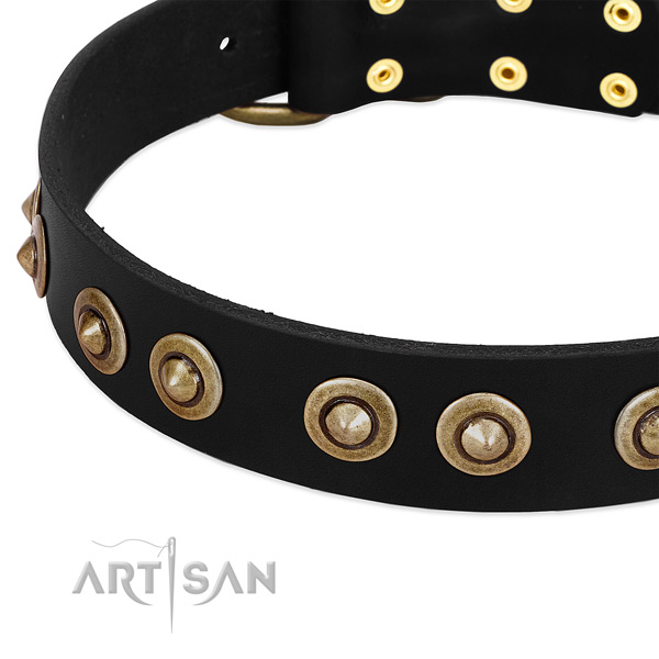 Durable decorations on leather dog collar for your four-legged friend