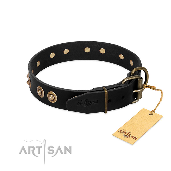 Corrosion resistant embellishments on full grain natural leather dog collar for your dog