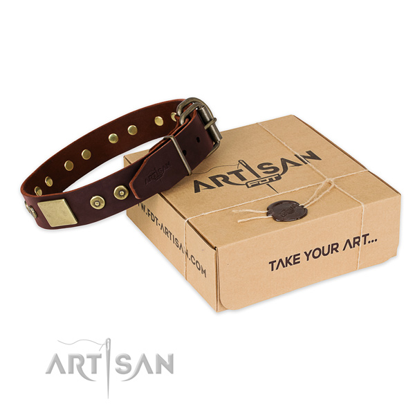 Corrosion proof studs on dog collar for comfy wearing