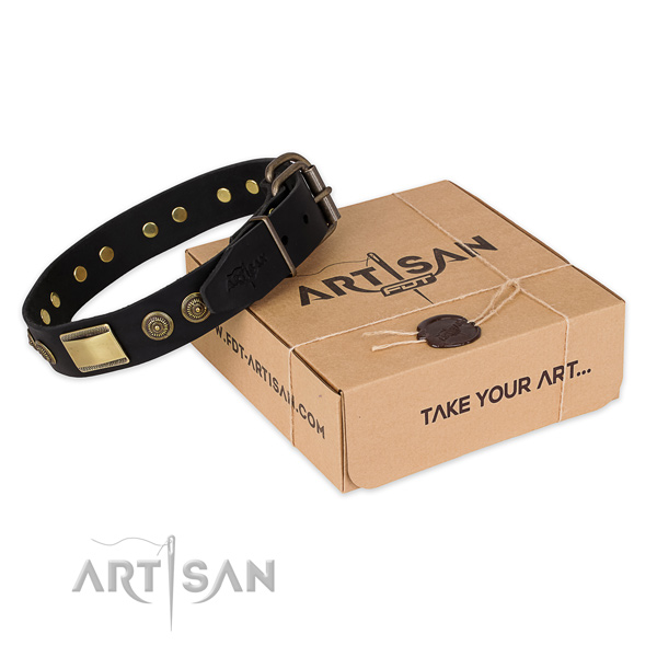 Corrosion proof D-ring on genuine leather dog collar for everyday walking