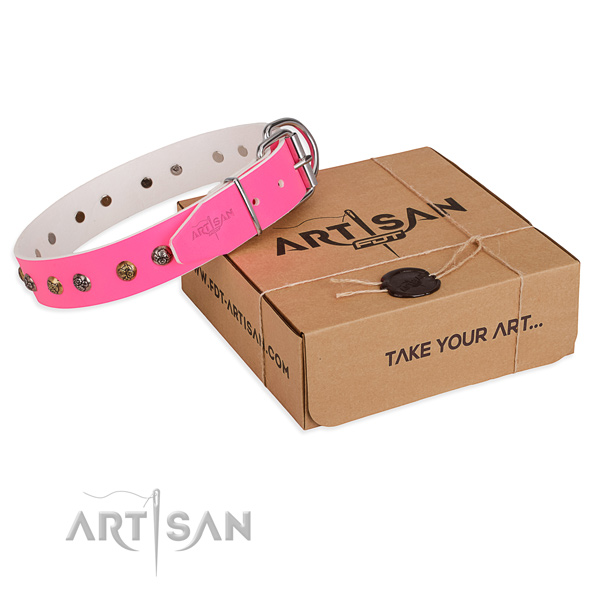 Handy use dog collar with Significant durable embellishments
