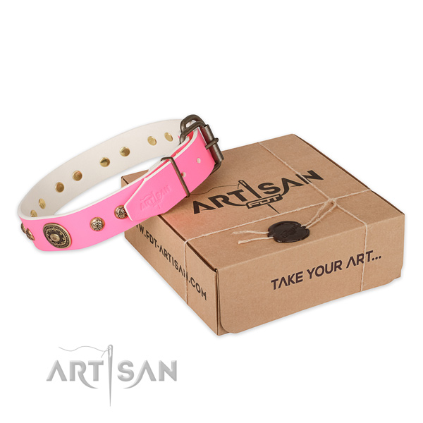 Reliable buckle on leather dog collar for basic training