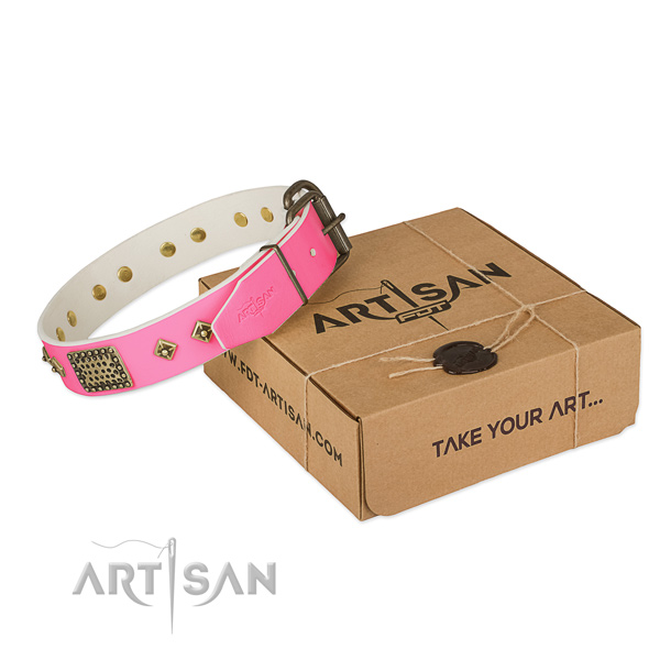 Strong embellishments on dog collar for everyday use