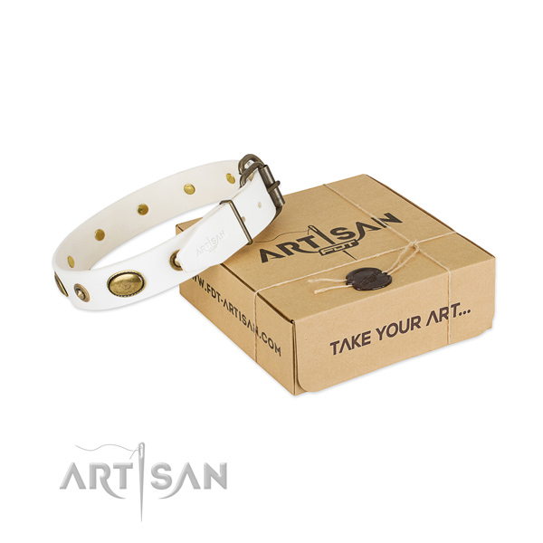 Designer leather collar for your beautiful dog