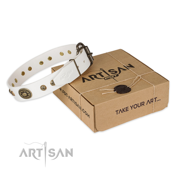 Reliable buckle on full grain natural leather dog collar for daily walking