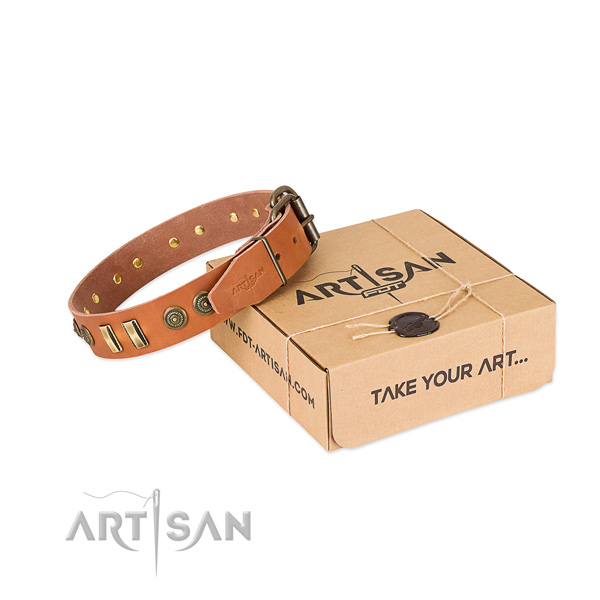 Corrosion resistant decorations on full grain leather dog collar for your canine