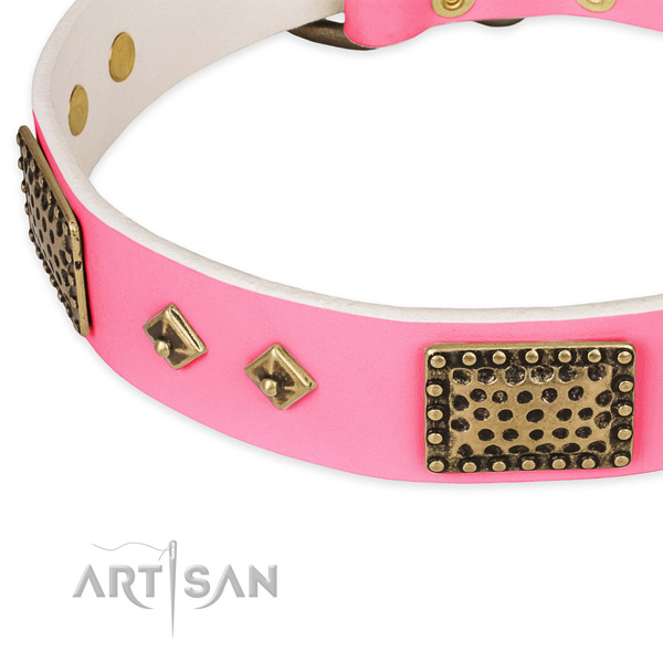 Full grain genuine leather dog collar with embellishments for everyday walking
