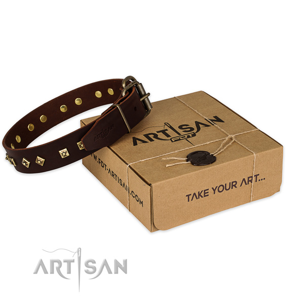 Corrosion resistant D-ring on full grain leather dog collar for walking