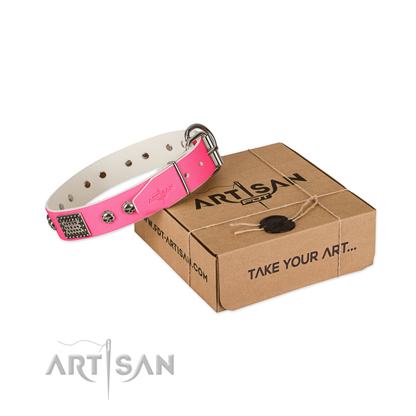 Rust resistant hardware on dog collar for handy use