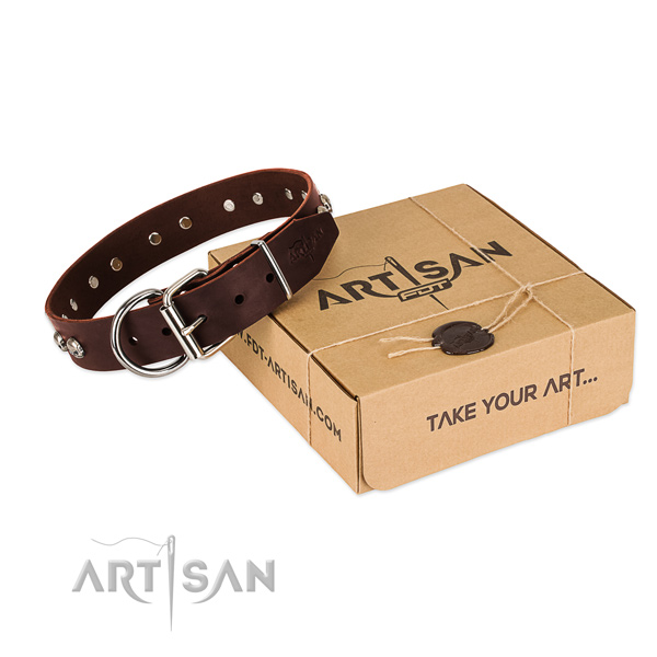 Durable embellishments on dog collar for everyday use