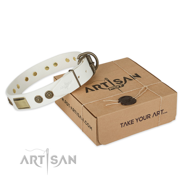 Rust resistant hardware on natural genuine leather dog collar for comfy wearing
