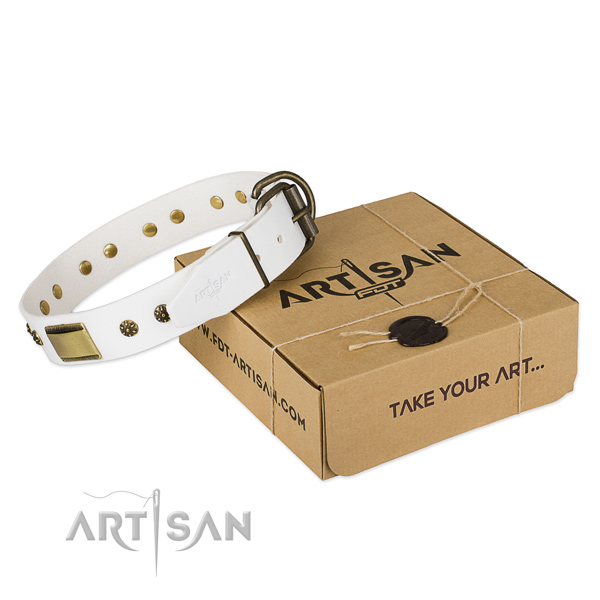 Amazing natural genuine leather collar for your beautiful doggie
