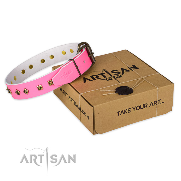 Rust-proof traditional buckle on leather dog collar for comfortable wearing