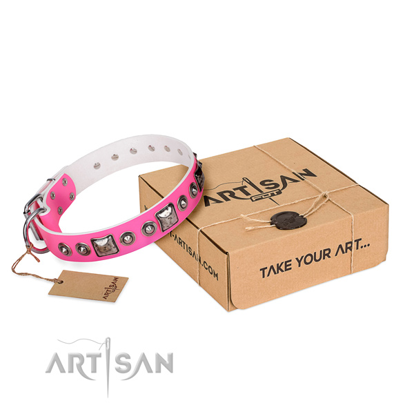 Top rate full grain leather dog collar handcrafted for daily use