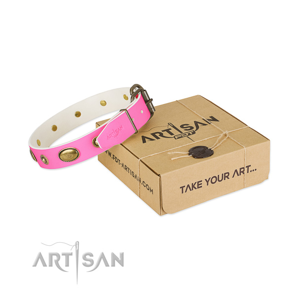 Awesome full grain genuine leather collar for your attractive dog