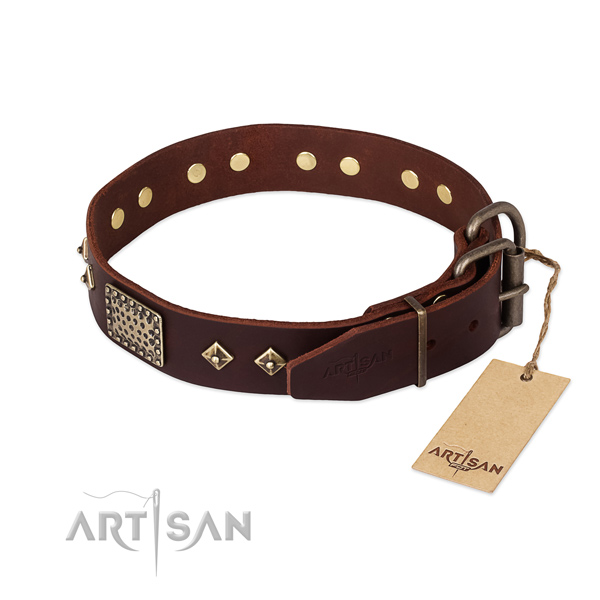 Genuine leather dog collar with corrosion proof D-ring and embellishments