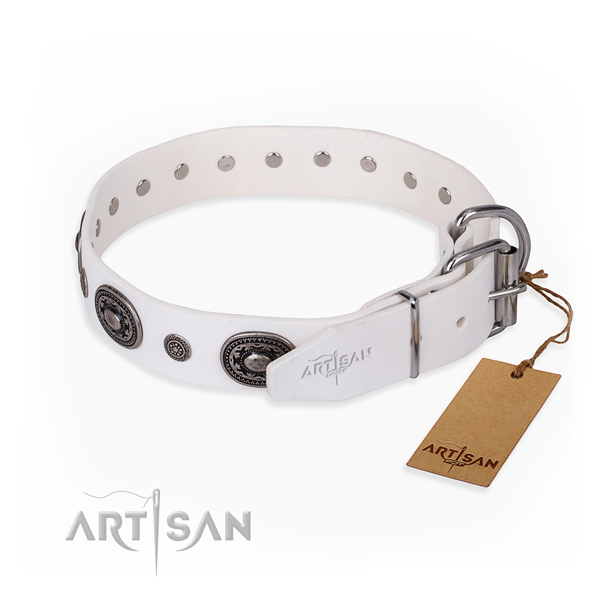 Reliable leather dog collar handcrafted for everyday walking