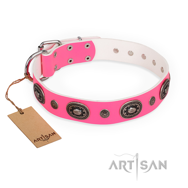 Top rate genuine leather dog collar crafted for comfy wearing