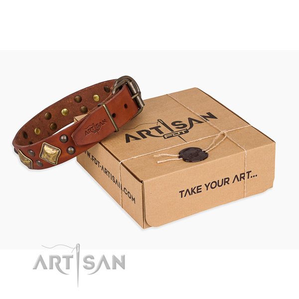 Fancy walking dog collar with Amazing reliable adornments