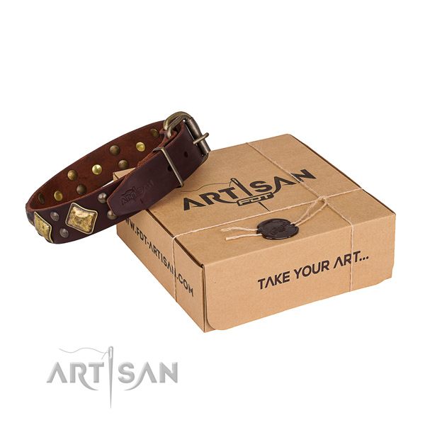 Stylish walking dog collar with Unique durable adornments