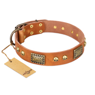 "Saucy Nature" FDT Artisan Tan Leather Pitbull Collar with Old Bronze Look Plates and Skulls