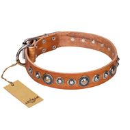 "Daily Chic" FDT Artisan Tan Leather Pitbull Collar with Decorations