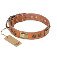"Lost Desert" FDT Artisan Leather Pitbull Collar with Brass Decorations