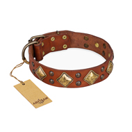 "Flight of Fancy" FDT Artisan Adorned Leather Pitbull Collar