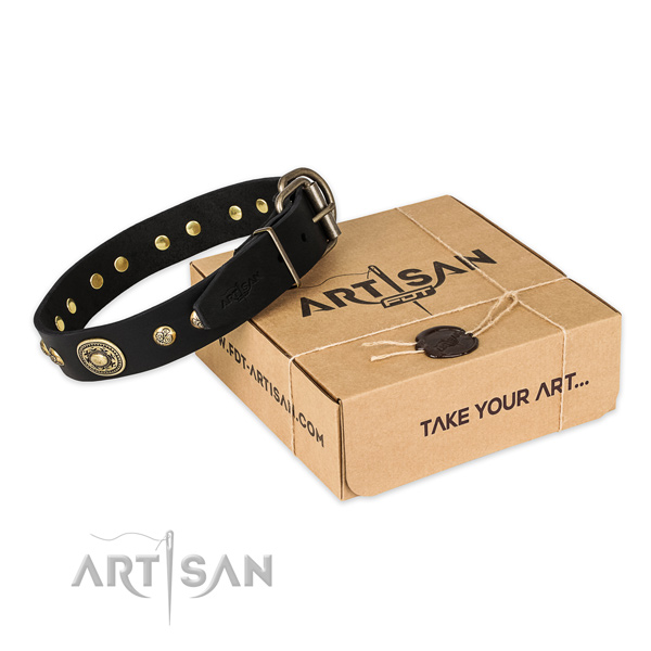 Rust-proof buckle on genuine leather dog collar for everyday walking
