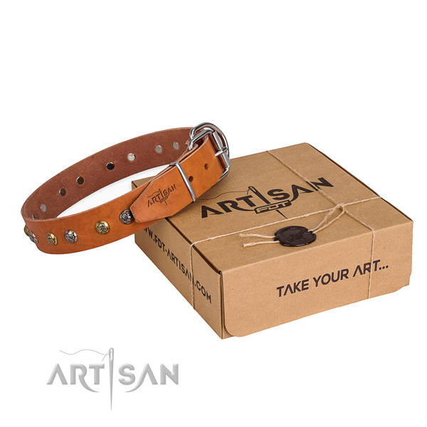 Easy wearing dog collar with Exceptional durable adornments