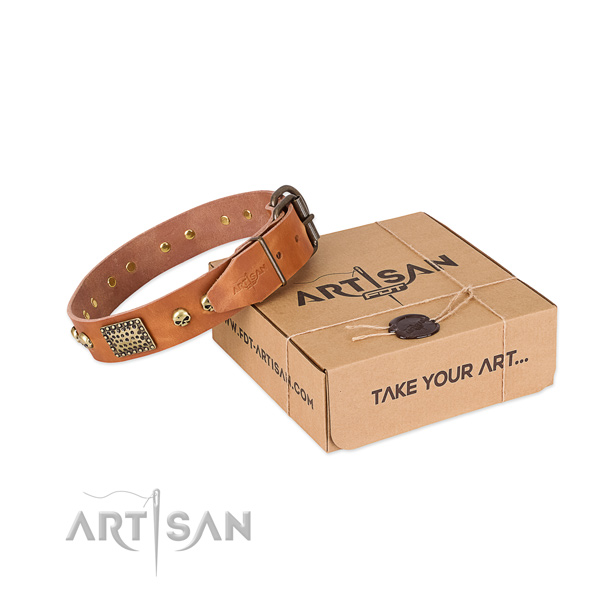 Reliable embellishments on dog collar for everyday use