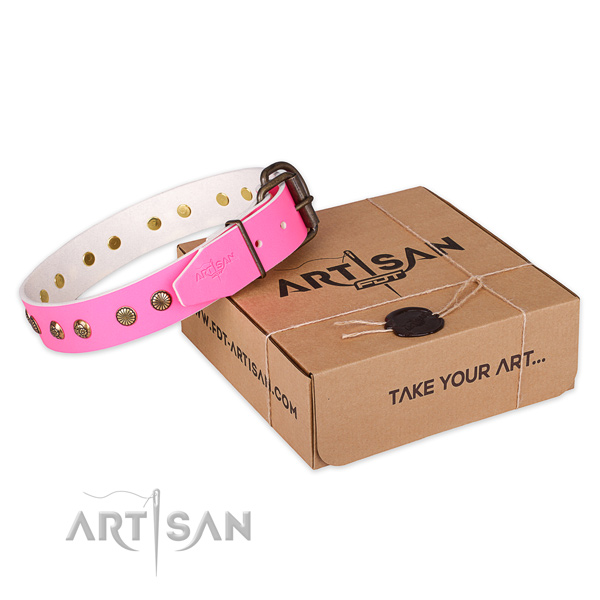 Rust resistant traditional buckle on leather collar for your impressive dog
