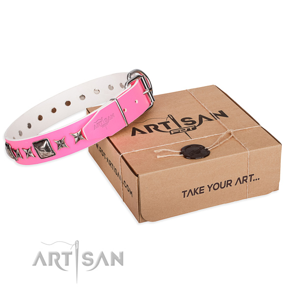 Basic training leather dog collar with adornments