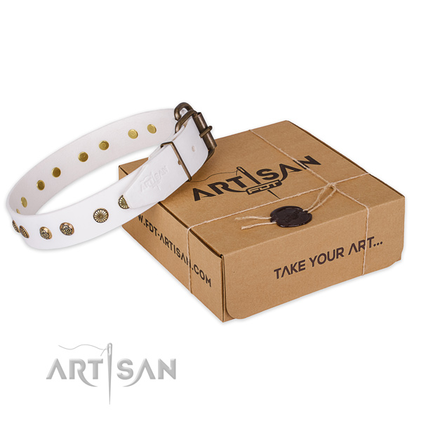 Corrosion proof hardware on full grain genuine leather collar for your impressive dog