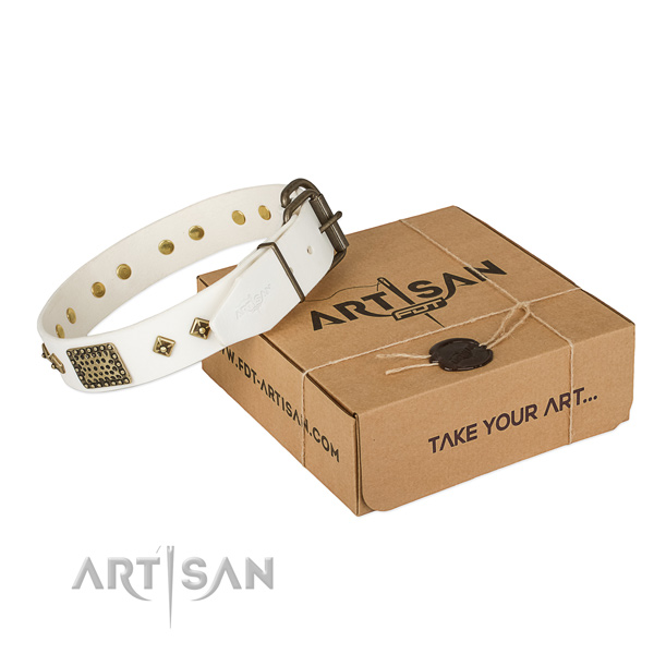 Impressive genuine leather collar for your handsome doggie
