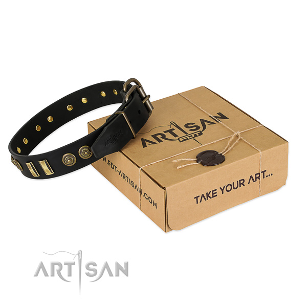 Strong adornments on full grain genuine leather dog collar for your dog