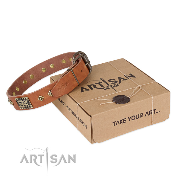 Studded leather collar for your stylish dog