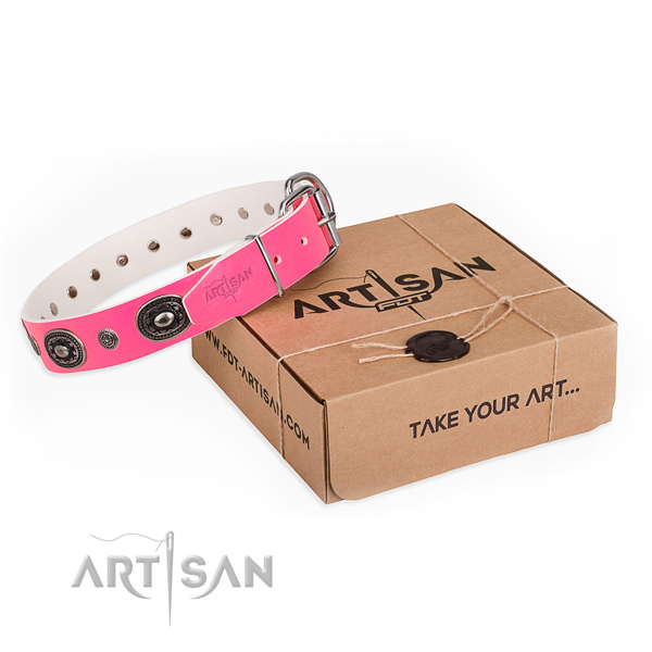 Best quality full grain leather dog collar handcrafted for basic training