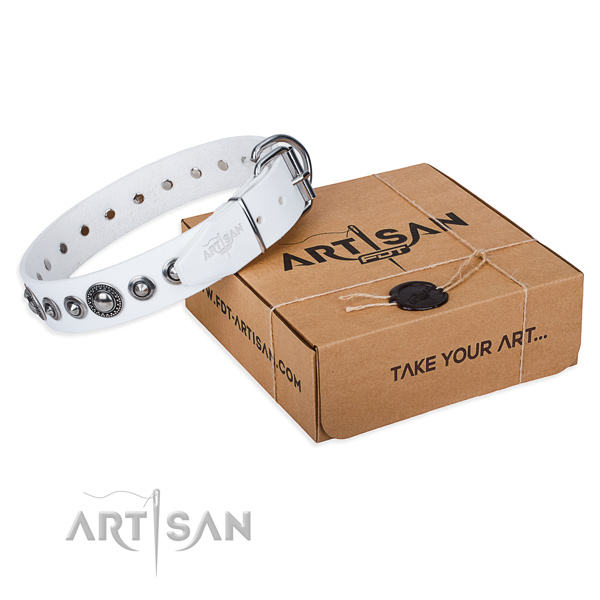 Genuine leather dog collar made of top notch material with rust resistant fittings