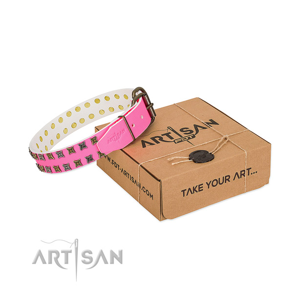Leather collar with extraordinary adornments for your four-legged friend