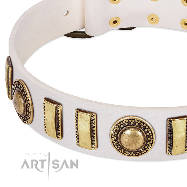 Reliable natural leather dog collar with rust-proof D-ring
