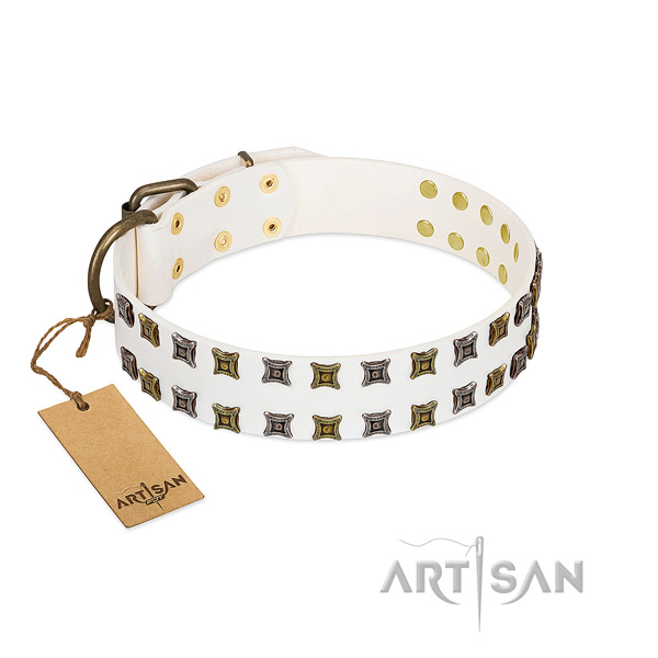 Top rate leather dog collar with studs for your pet
