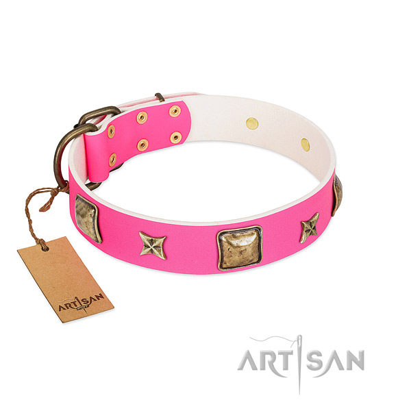 Natural leather dog collar of gentle to touch material with exquisite adornments