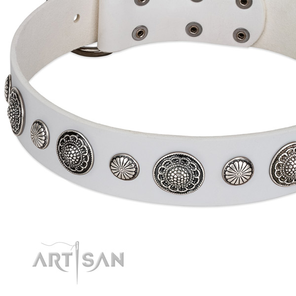 Full grain genuine leather collar with strong hardware for your impressive pet