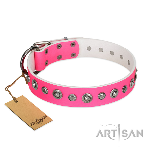 Fine quality natural leather dog collar with stylish design embellishments