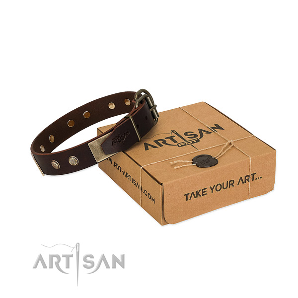 Reliable hardware on dog collar for walking