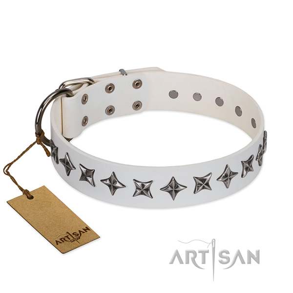 Comfy wearing dog collar of best quality genuine leather with adornments